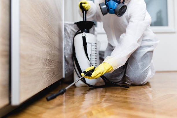 Best Affordable Pest Control Services  in Harbor Bluffs, FL