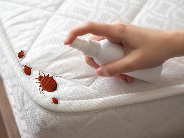 Best Pest Control for Businesses  in Harbor Bluffs, FL