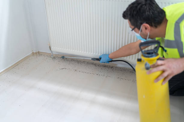Best Emergency Pest Control  in Harbor Bluffs, FL